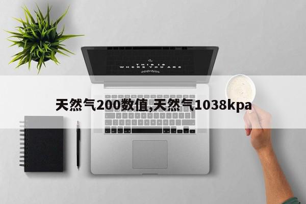 天然气200数值,天然气1038kpa