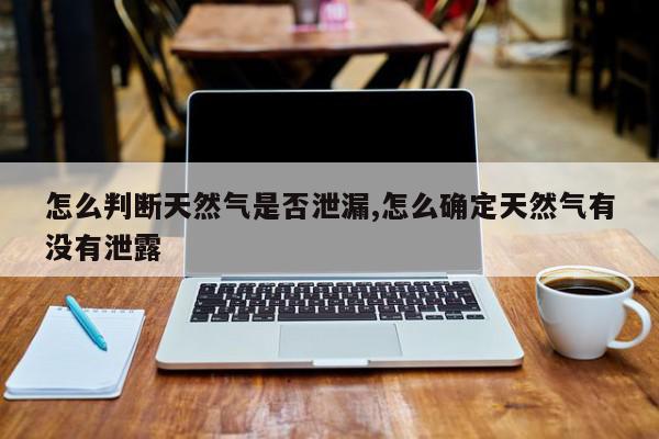 怎么判断天然气是否泄漏,怎么确定天然气有没有泄露