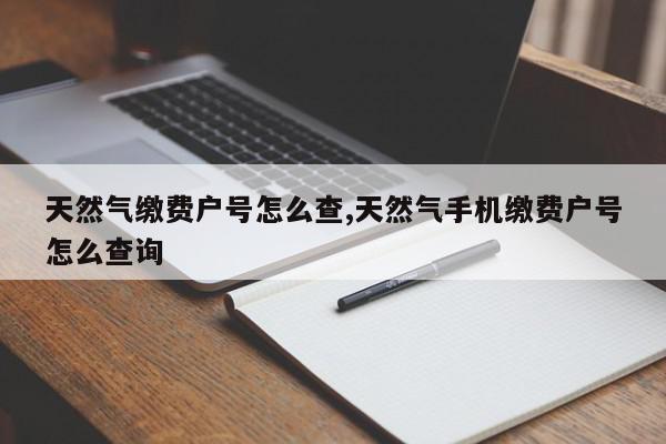 天然气缴费户号怎么查,天然气手机缴费户号怎么查询