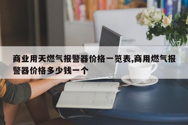 商业用天燃气报警器价格一览表,商用燃气报警器价格多少钱一个