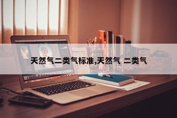 天然气二类气标准,天然气 二类气