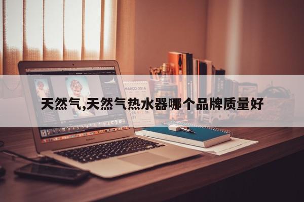天然气,天然气热水器哪个品牌质量好