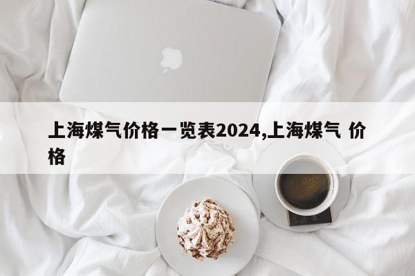 上海煤气价格一览表2024,上海煤气 价格