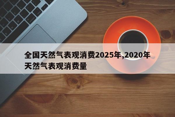 全国天然气表观消费2025年,2020年天然气表观消费量