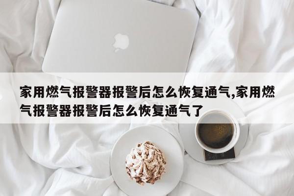 家用燃气报警器报警后怎么恢复通气,家用燃气报警器报警后怎么恢复通气了