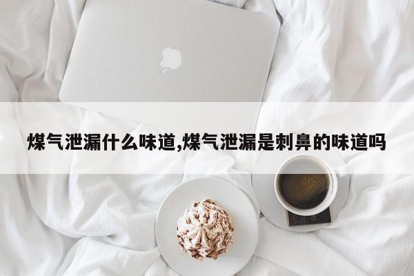 煤气泄漏什么味道,煤气泄漏是刺鼻的味道吗