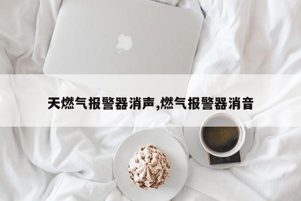 天燃气报警器消声,燃气报警器消音