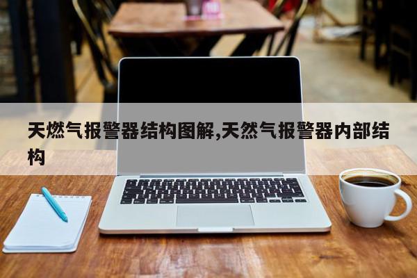天燃气报警器结构图解,天然气报警器内部结构
