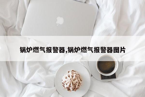 锅炉燃气报警器,锅炉燃气报警器图片