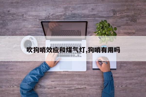 吹狗哨效应和煤气灯,狗哨有用吗