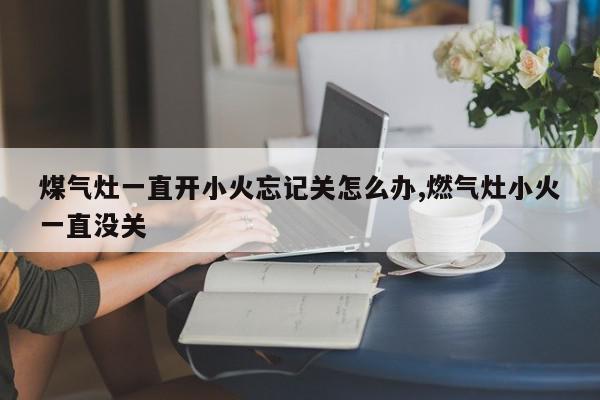 煤气灶一直开小火忘记关怎么办,燃气灶小火一直没关