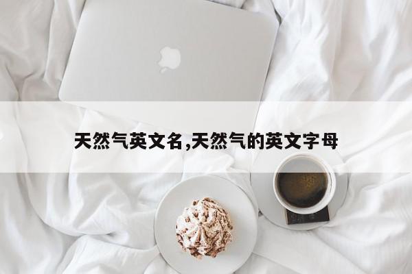天然气英文名,天然气的英文字母