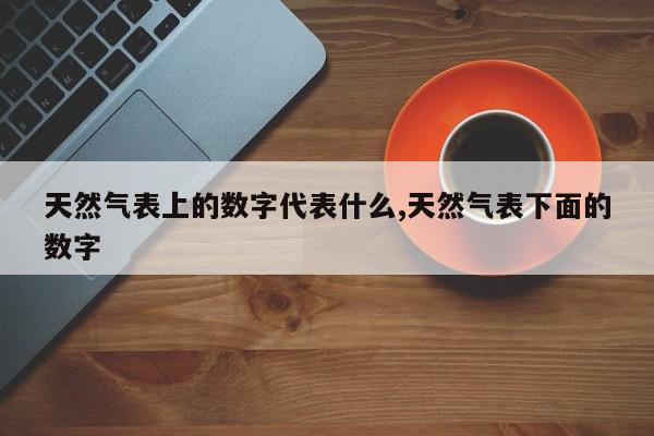 天然气表上的数字代表什么,天然气表下面的数字