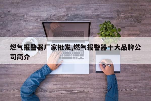 燃气报警器厂家批发,燃气报警器十大品牌公司简介