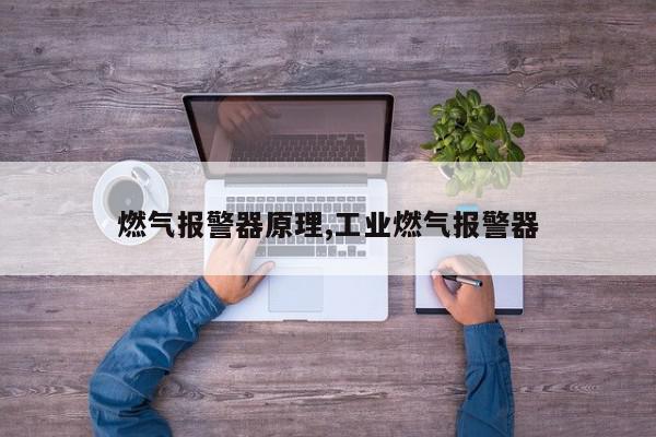 燃气报警器原理,工业燃气报警器