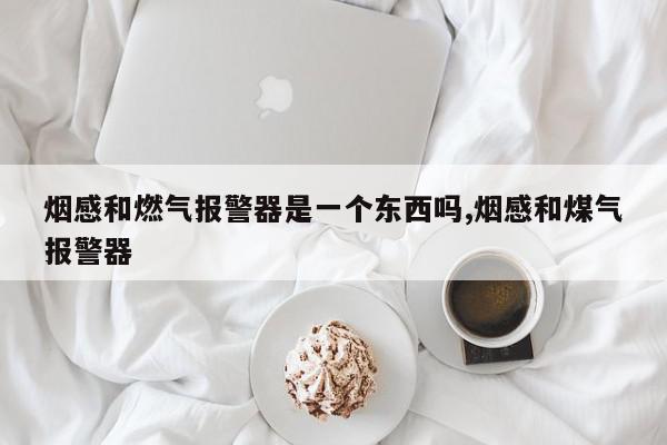 烟感和燃气报警器是一个东西吗,烟感和煤气报警器