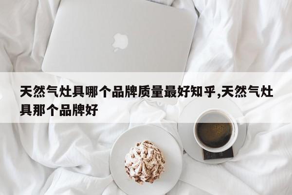 天然气灶具哪个品牌质量最好知乎,天然气灶具那个品牌好