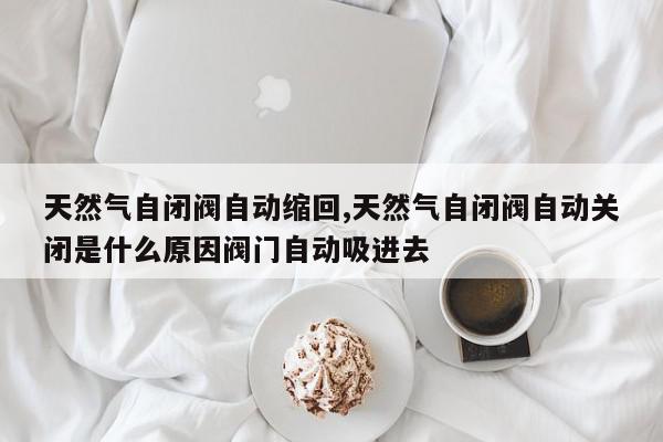 天然气自闭阀自动缩回,天然气自闭阀自动关闭是什么原因阀门自动吸进去