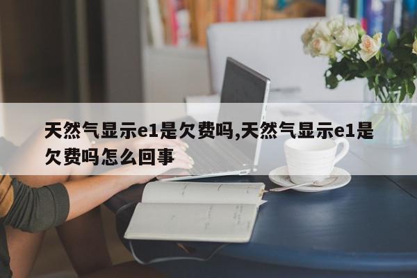 天然气显示e1是欠费吗,天然气显示e1是欠费吗怎么回事