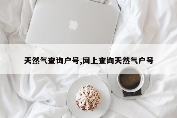 天然气查询户号,网上查询天然气户号