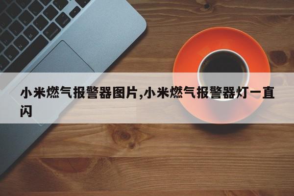 小米燃气报警器图片,小米燃气报警器灯一直闪