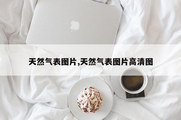 天然气表图片,天然气表图片高清图