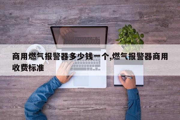 商用燃气报警器多少钱一个,燃气报警器商用收费标准