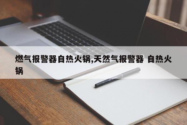 燃气报警器自热火锅,天然气报警器 自热火锅