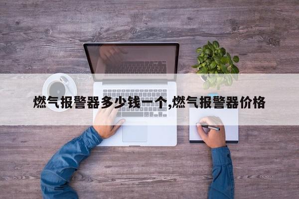 燃气报警器多少钱一个,燃气报警器价格