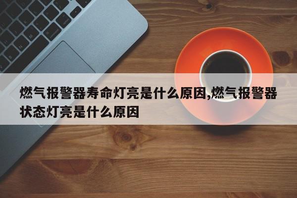 燃气报警器寿命灯亮是什么原因,燃气报警器状态灯亮是什么原因
