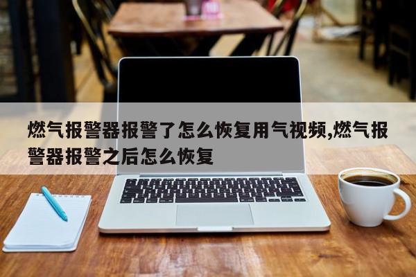 燃气报警器报警了怎么恢复用气视频,燃气报警器报警之后怎么恢复