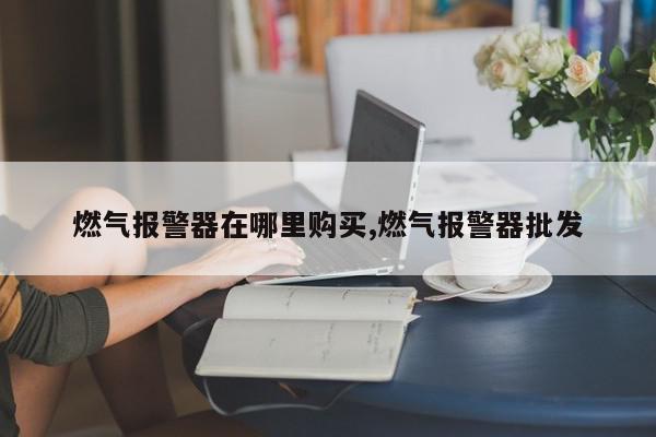 燃气报警器在哪里购买,燃气报警器批发
