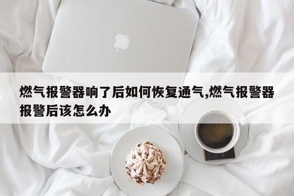 燃气报警器响了后如何恢复通气,燃气报警器报警后该怎么办