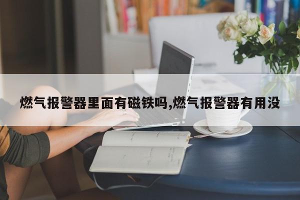 燃气报警器里面有磁铁吗,燃气报警器有用没