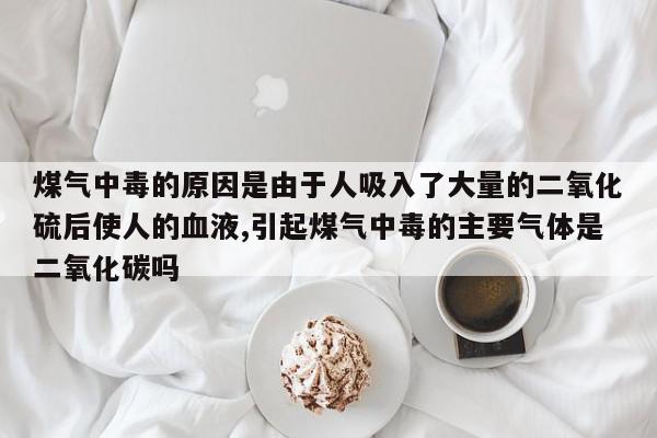 煤气中毒的原因是由于人吸入了大量的二氧化硫后使人的血液,引起煤气中毒的主要气体是二氧化碳吗