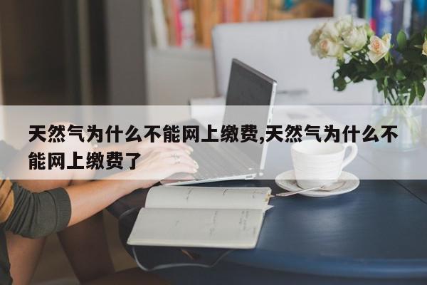 天然气为什么不能网上缴费,天然气为什么不能网上缴费了