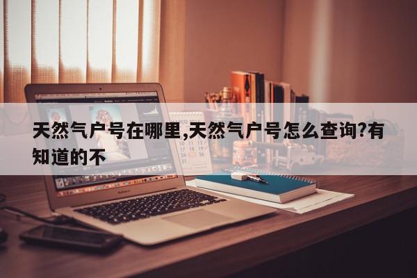 天然气户号在哪里,天然气户号怎么查询?有知道的不
