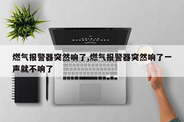 燃气报警器突然响了,燃气报警器突然响了一声就不响了