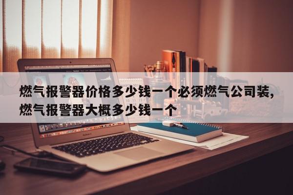 燃气报警器价格多少钱一个必须燃气公司装,燃气报警器大概多少钱一个