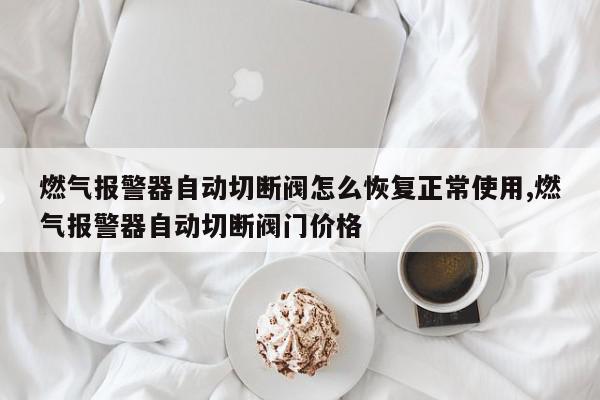 燃气报警器自动切断阀怎么恢复正常使用,燃气报警器自动切断阀门价格