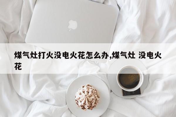 煤气灶打火没电火花怎么办,煤气灶 没电火花