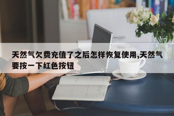 天然气欠费充值了之后怎样恢复使用,天然气要按一下红色按钮