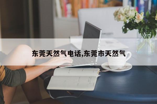 东莞天然气电话,东莞市天然气