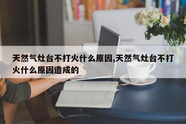 天然气灶台不打火什么原因,天然气灶台不打火什么原因造成的