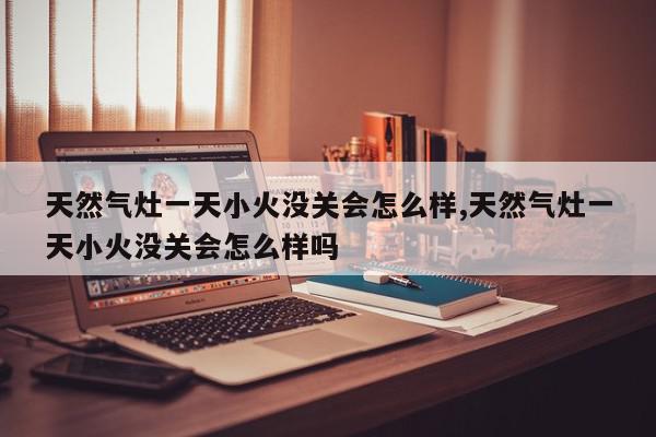 天然气灶一天小火没关会怎么样,天然气灶一天小火没关会怎么样吗