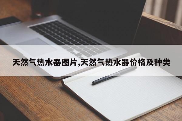 天然气热水器图片,天然气热水器价格及种类