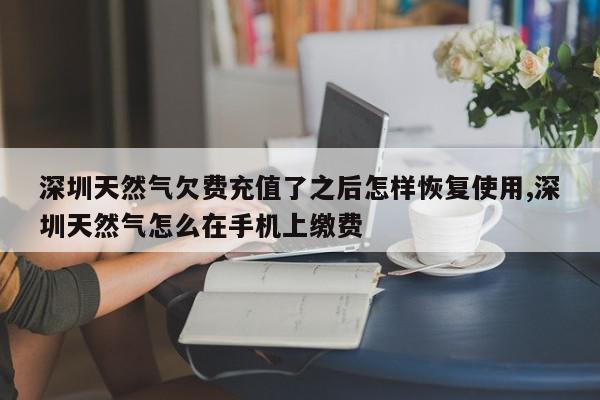 深圳天然气欠费充值了之后怎样恢复使用,深圳天然气怎么在手机上缴费