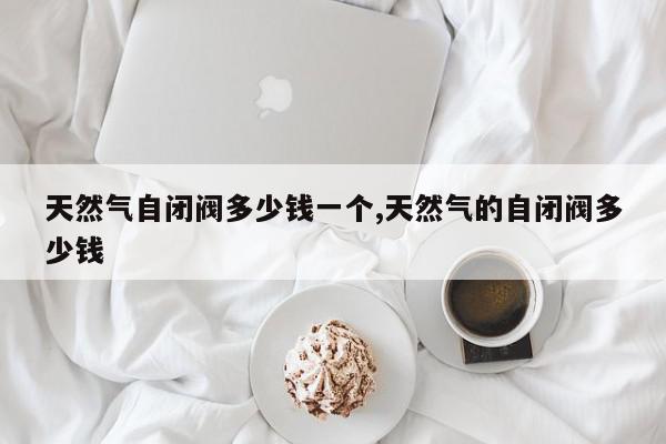 天然气自闭阀多少钱一个,天然气的自闭阀多少钱