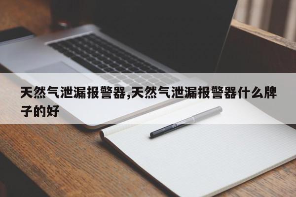 天然气泄漏报警器,天然气泄漏报警器什么牌子的好