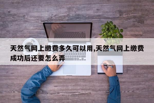 天然气网上缴费多久可以用,天然气网上缴费成功后还要怎么弄